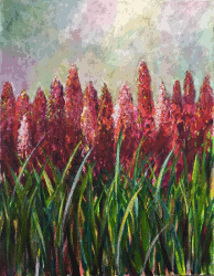 Blumenbeet
