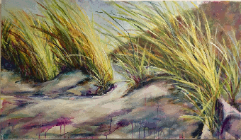 Strandblick