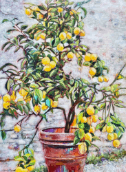 Zitronenbaum