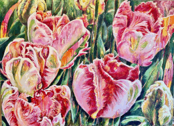 Tulpen
